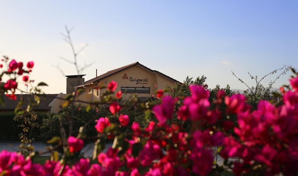 Hotel Origenes Vallenar Bagian luar foto